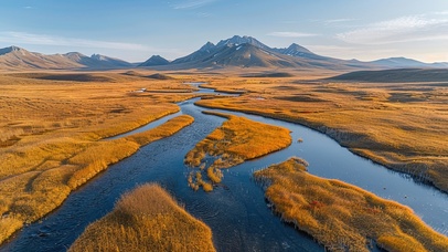 一望无垠的苔原