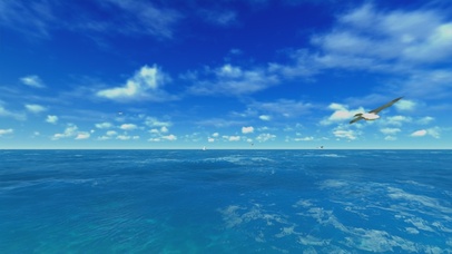 海鸥、天空与海