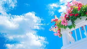 唯美蓝天下鲜花