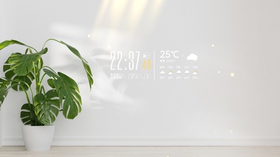 绿植清新阳光桌面