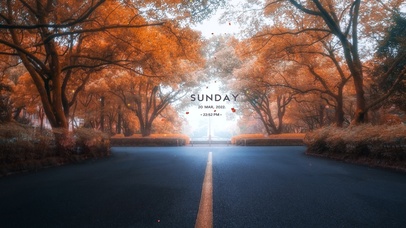 4k 治愈晨雾秋色大道