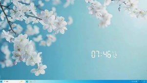 护眼雪梅树枝桌面主题