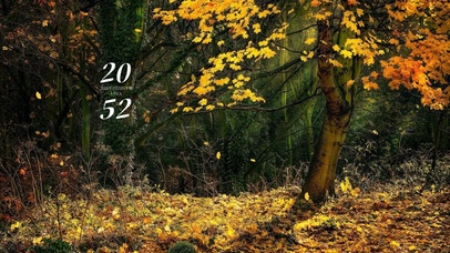 4k治愈风景桌面