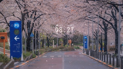 唯美雪中樱花街道（真实时间）