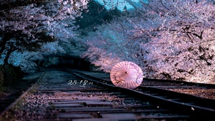 4K 铁轨，樱花，油纸伞