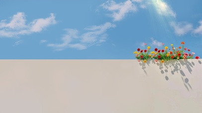 蓝天白云美丽的花朵～