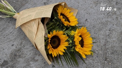 一束浪漫（含真实时间）