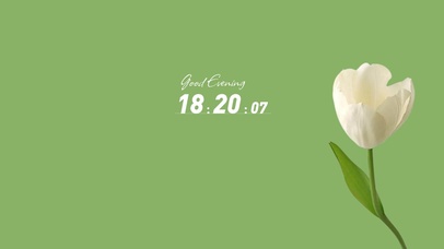 护眼简约白色郁金香