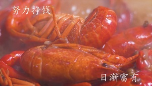 口水系列1