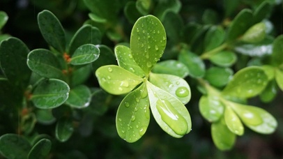 4k壁纸—护眼壁纸