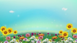 浪漫夏日花海