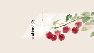 樱有尽有 治愈