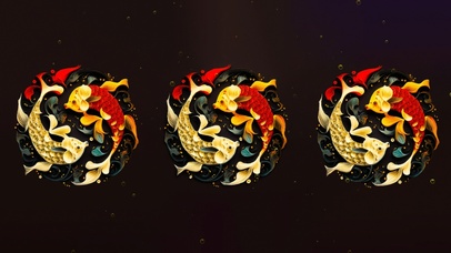 4K 锦鲤 太极锦鲤