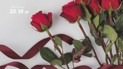 治愈简约玫瑰花桌面