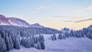飘雪的冬