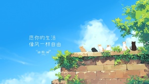 愿你的生活像风一样自由