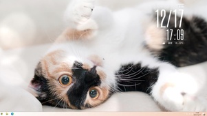 猫香香