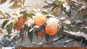 雪中橘