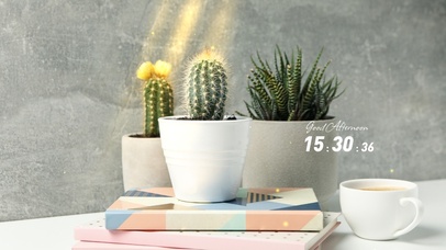 简约绿植小清新桌面