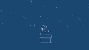 星星