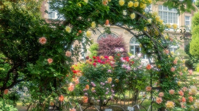 4k治愈唯美花园