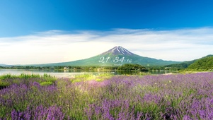 唯美富士山下的花海