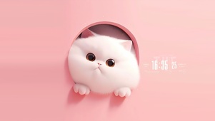 超萌的猫咪