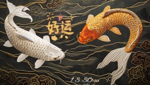 好运锦 鲤
