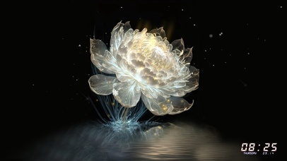 4K唯美动态莲花（好运莲莲）