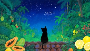 猫咪屋顶看星空