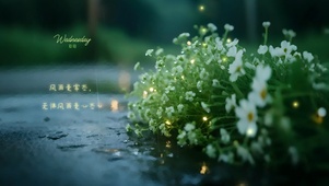 人生风雨是常态~无惧风雨是心态