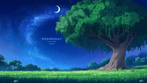 星夜树