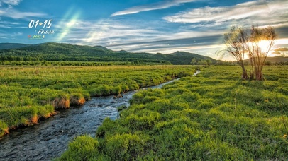 4K阳光明媚的草原