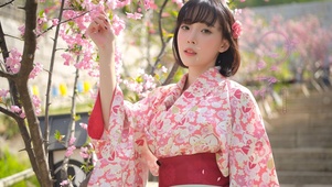 樱花和服美女