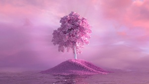 梦幻之树
