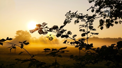 6K 超清唯美【夕阳下】