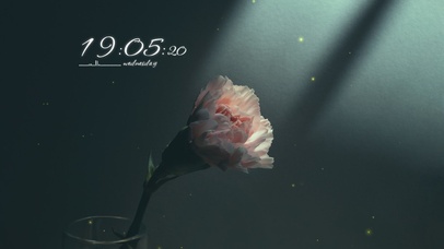 4k高清治愈荧光花朵