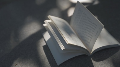 意境书在风中随意的吹