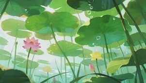 治愈感清凉荷花景色