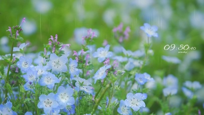 阴雨天·清新护眼2
