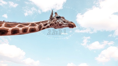 #极简主义 6K【长颈鹿】