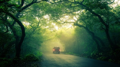 静谧道路【4K超清】