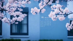 樱花盛开