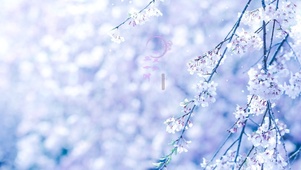 4K唯美古风桃花