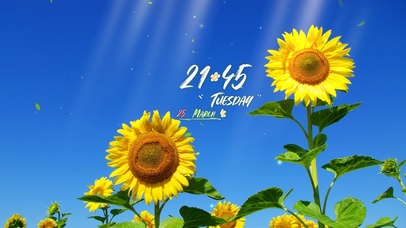 阳光清新向日葵风景桌面