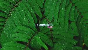 水下绿植