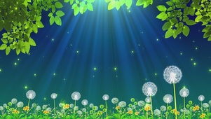 清新唯美夜晚星光蒲公英