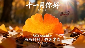 十一月 你好
