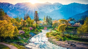 治愈唯美森林美景