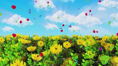 唯美的黄色菊花